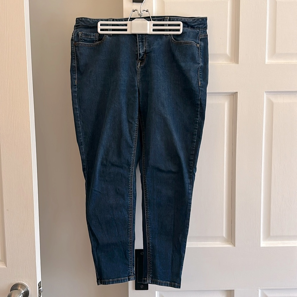 Lane Bryant skinny jeans